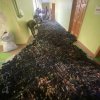 Волонтерство студентів кафедри спеціальної та інклюзивної освіти